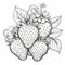 Black and White Cartoon  Illustration of Strawberry Fruit, berry, flowers Food Object for Coloring Book