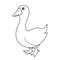 Black and White Cartoon Vector Illustration of Funny Goose Farm Bird Animal