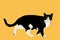 Black and white cat curios vector illustration isolated on background.