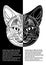 Black and white cat head in inverse leaflet design. Ornamental cat face in tattoo style.