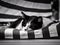 A black and white cat laying on a striped chair. AI generative image.