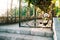 A black and white cat at the metal gate with patterns at the stone steps against the background of a long corridor.