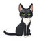 Black and white cat sits on a white background. Cartoon black cat with green eyes, white chest and paws. Head in full