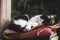 Black and white cat sleeping outdoors on colorful blankets, the concept of home warmth and coziness