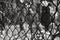 Black and White Chain Link Fence