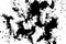 Black white chaotic spots texture background