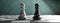 Black and white chess pawns standing on a chessboard background, banner. 3d illustration