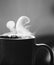 Black white coffee cup steam morning good