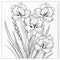 Black And White Coloring Pages: Delicate Garden Of Iris And Gladiolus