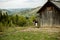 Black and white cow grazing on meadow in mountains. Cattle on a pasture