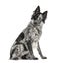 Black and white crossbreed dog, Border Collie and Malinois dog