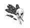 Black and white crow skull with feathers of bird. Raven skeleton for witchcraft and wizardry. Hand drawn vector