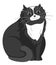 Black and white cute cat portrait of kitten vector