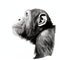 Black And White Digital Illustration Of A Chimpanzee