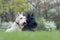 Black and white dog. Beautiful scottish terriers, sitting on green grass lawn, forest in the background, Scotland, United Kingdom