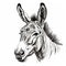 Black And White Donkey Drawing Clean And Sharp Uhd Image