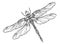 Black and white dragonfly illustration with a boho pattern.