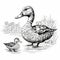 Black And White Drawing Of A Duck And A Duckling