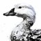 Black And White Duck Image In Ross Tran Style