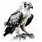 Black And White Eagle Osprey Artwork In Realistic Color Palette