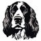 Black And White English Springer Spaniel Dog Vector Art