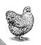 Black and white engrave chicken illustration