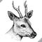 Black and white engrave isolated deer vector illustration