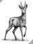 Black and white engrave isolated deer vector illustration