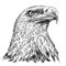 Black and white engrave isolated eagle illustration