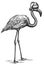 black and white engrave isolated flamingo illustration