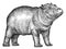 Black and white engrave isolated hippo illustration