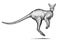 Black and white engrave isolated kangaroo illustration