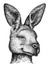 Black and white engrave isolated kangaroo illustration