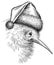 black and white engrave isolated Kiwi bird illustration