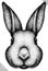 Black and white engrave isolated rabbit vector illustration