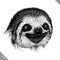 Black and white engrave isolated sloth vector illustration