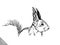 Black and white engrave isolated squirrel illustration