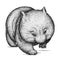 Black and white engrave isolated wombat illustration