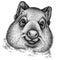 Black and white engrave isolated wombat illustration