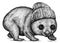 Black and white engrave isolated wombat illustration