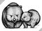 Black and white engrave isolated wombat vector illustration