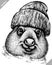 Black and white engrave isolated wombat vector illustration