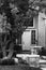 Black and White Entrance To Home with Pathway, Tree and Door