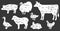 Black and white farm animal meat body part guide - hand drawn animals