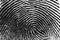 Black and white fingerprint texture