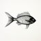 Black And White Fish Drawing For Interior Designing