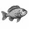 Black And White Fish Illustration In Americana Iconography Style