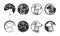 black and white flat animal icon set, animal logo and icon, Royal Place, Apartment Sweet Home, icon designwith grey black gradient