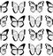 Black and white flat cartoon vector seamless pattern with different butterflies