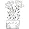 Black and white flowering Echinocereus in a rectangular pot. Isolated North American cactus for a coloring book.